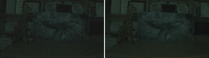 Noisy vs. RViDeNet-ECBAM, scene_giraffe